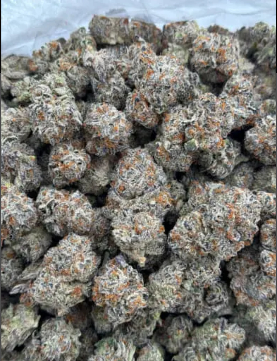 Jack Herer Flower