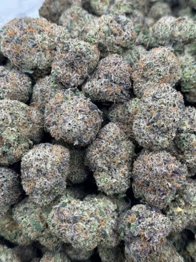 Purple Punch
